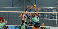 2. Volleyball-Bundesliga PRO SSC Freisen - Skurios Volleys Borken